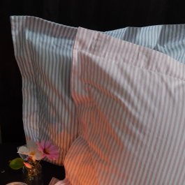 Pillowcase Pink striped Wing, 50 x 60 cm